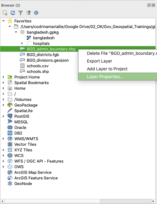 Checking Layer Properties