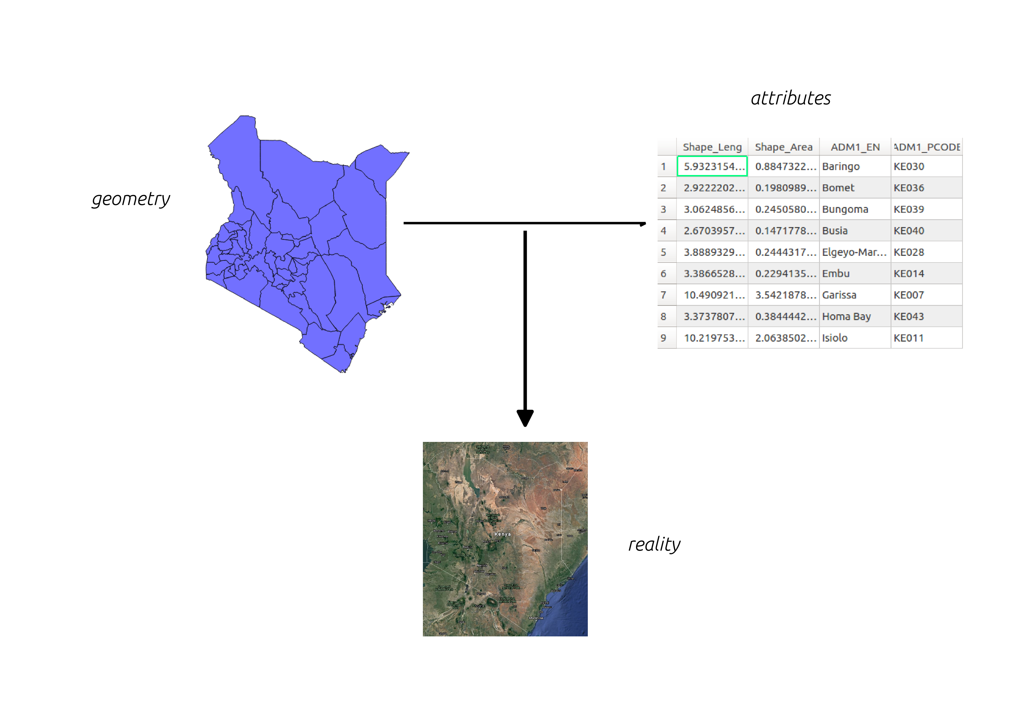 Spatial data model