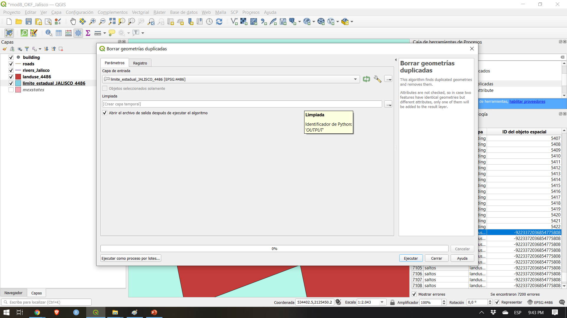  Delete duplicate geometries on layer points of interest