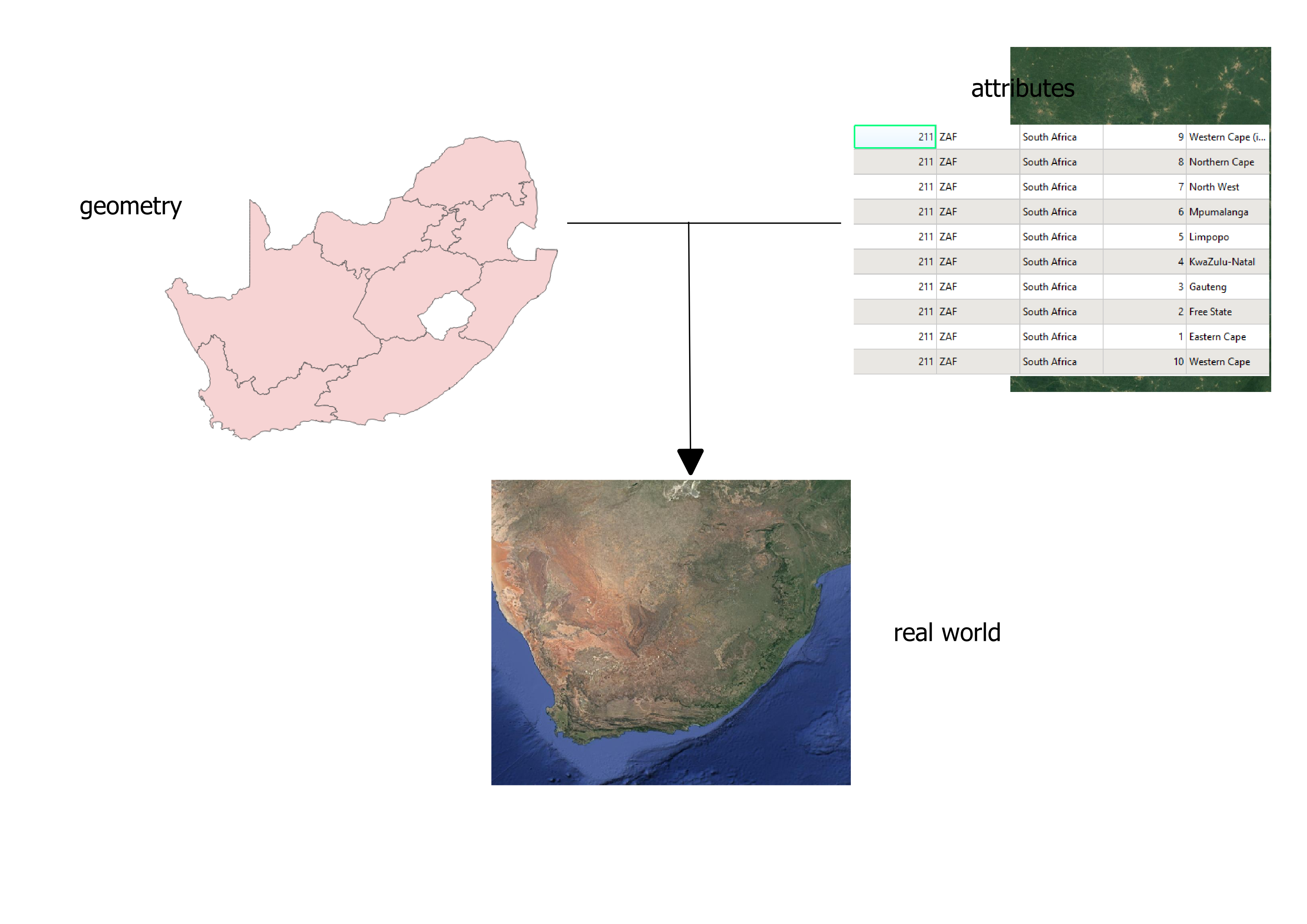 Spatial data model